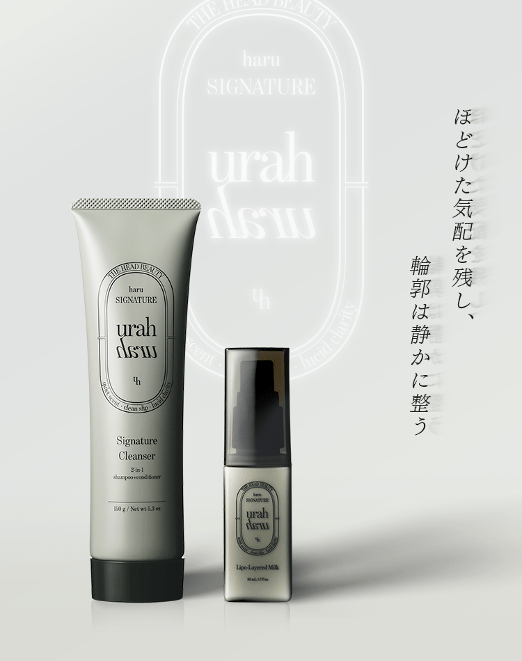 ほどけた気配を残し、輪郭は静かに整う