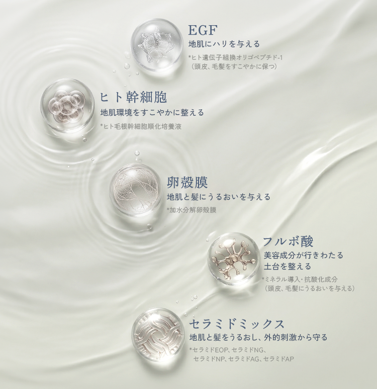 EGF 地肌にハリを与える ＊ヒト遺伝子組換オリゴペプチド-1（頭皮、毛髪をすこやかに保つ）ヒト幹細胞 地肌環境をすこやかに整える＊ヒト⽑根幹細胞順化培養液 卵殻膜 地肌と髪にうるおいを与える ＊加水分解卵殻膜